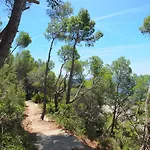 Blanca L'Ametlla de Mar