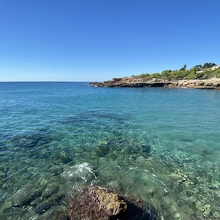 Blanca L'Ametlla de Mar