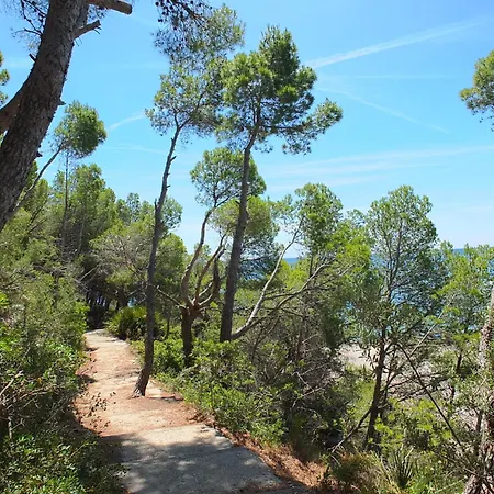 Blanca L'Ametlla de Mar