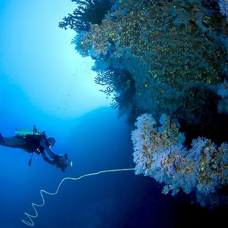 Villa Blanca