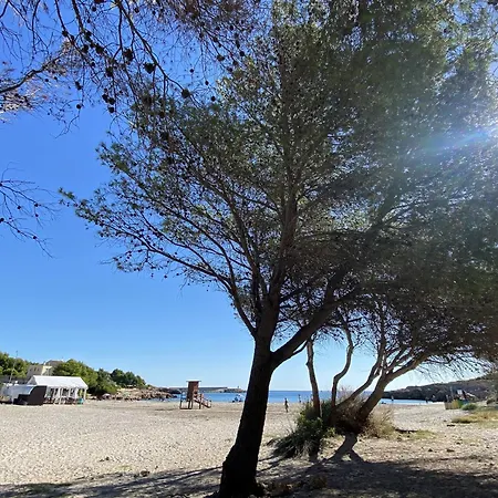 Blanca L'Ametlla de Mar