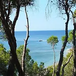 Blanca Villa