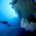 Villa Blanca
