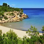 Blanca Villa